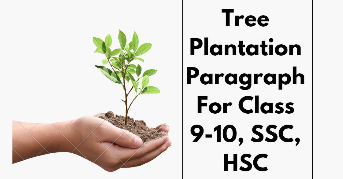 Tree Plantation Paragraph For Class 10